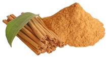 Natural Ceylon Cinnamon_Cinnamon Powder and Sticks with a leaf